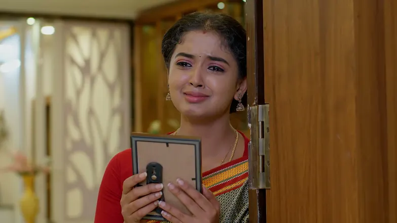Meghasandesam - June 17, 2026 - Episode Spoiler