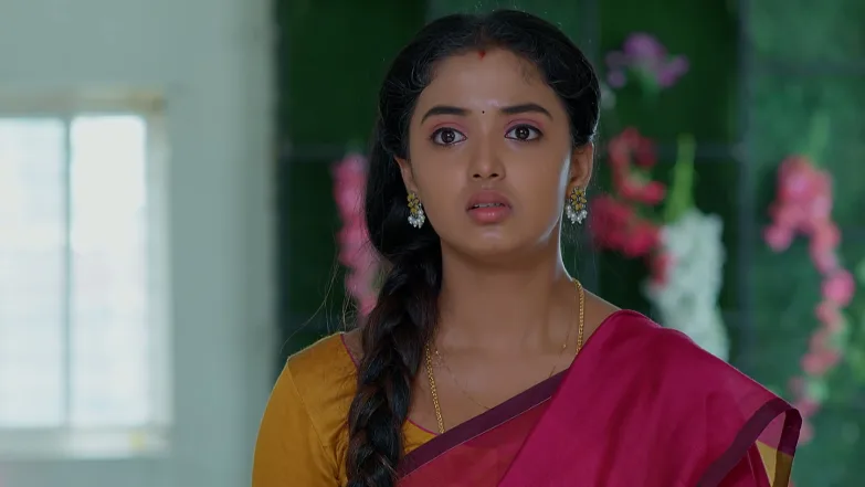 Meghasandesam - June 20, 2026 - Episode Spoiler
