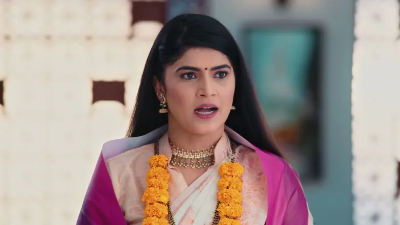 Lakshmi Niwas - June 24, 2026 - Episode Spoiler