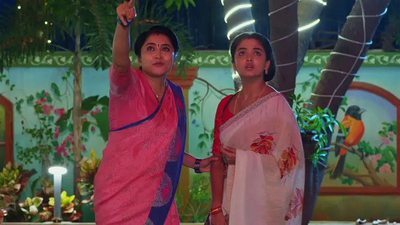 Meghasandesam - June 26, 2026 - Episode Spoiler