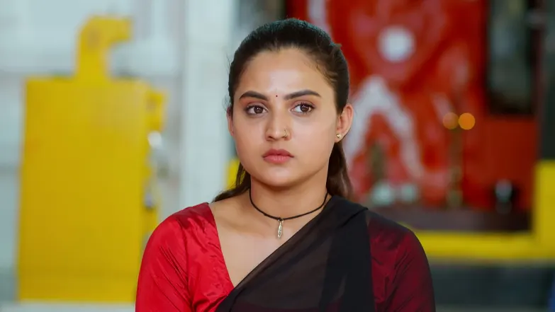 Hrudaya Geethe - June 24, 2026 - Episode Spoiler