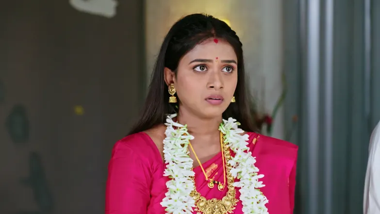 Naa Ninna Bidalaare - June 29, 2026 - Episode Spoiler