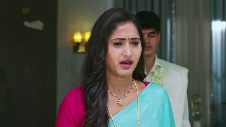 Naa Ninna Bidalaare - June 29, 2026 - Episode Spoiler