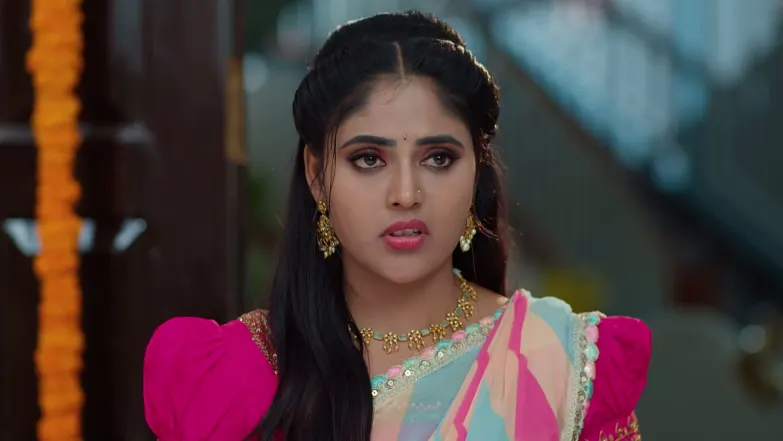 Krishnamraju's Family Prepares for the Ritual Episode 257