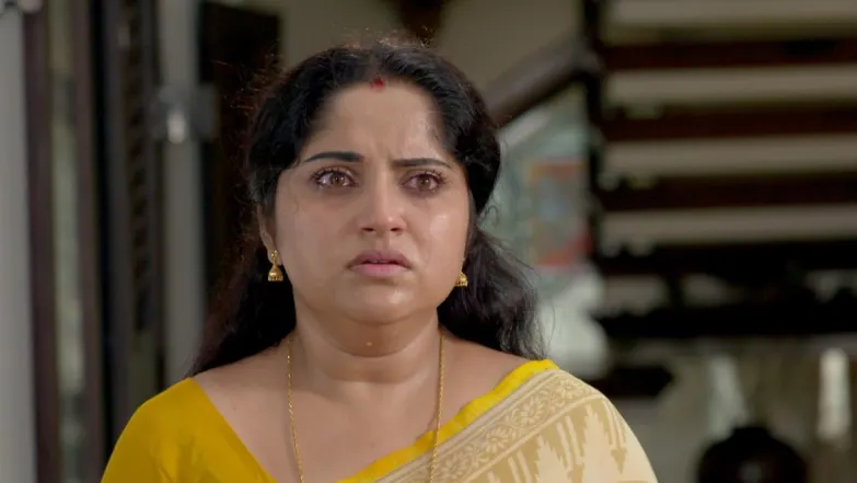 Unni gets suspicious about Arun - Karthika Deepam Episode 13