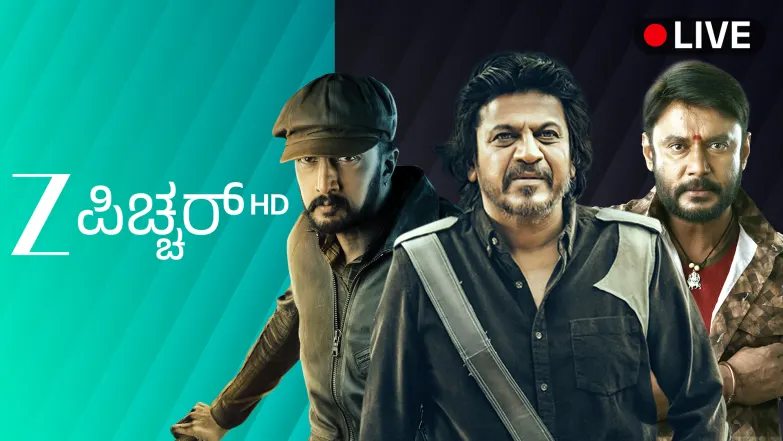 Zee Picchar HD Live TV
