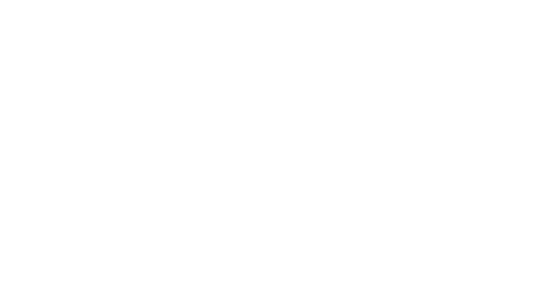 Zee Zest HD