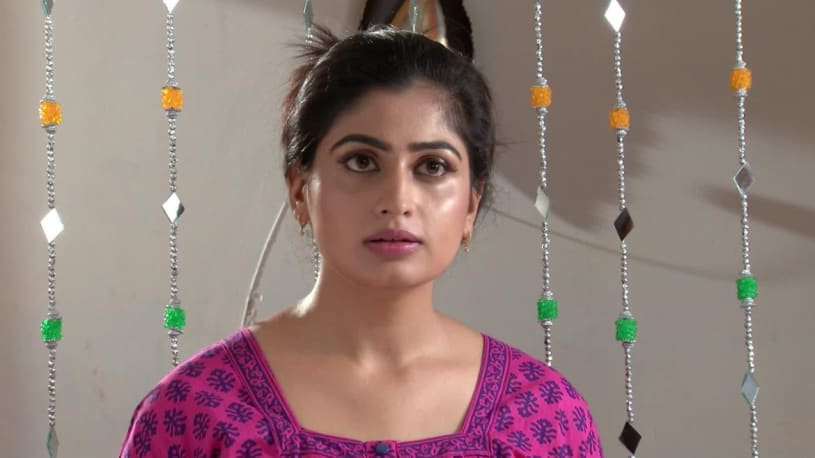 Watch That Is Mahalakshmi Tv Serial From Online Zee5 Mahalakshmi new is a tamil television serial aired in sun tv, read the synopsis, episodes, cast & crew with character names and original names.