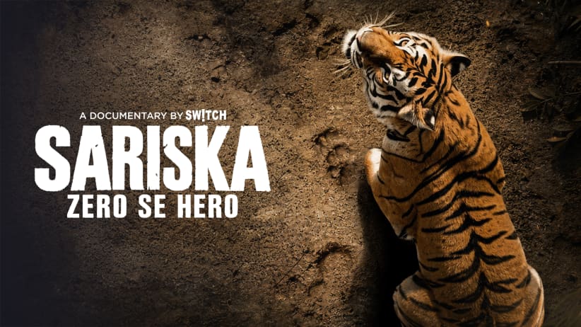 Sariska Tiger Reserve: From Zero to Hero