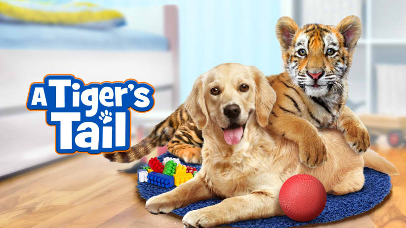 A Tiger's Tail