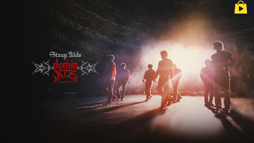 Stray Kids: The DominATE Experience