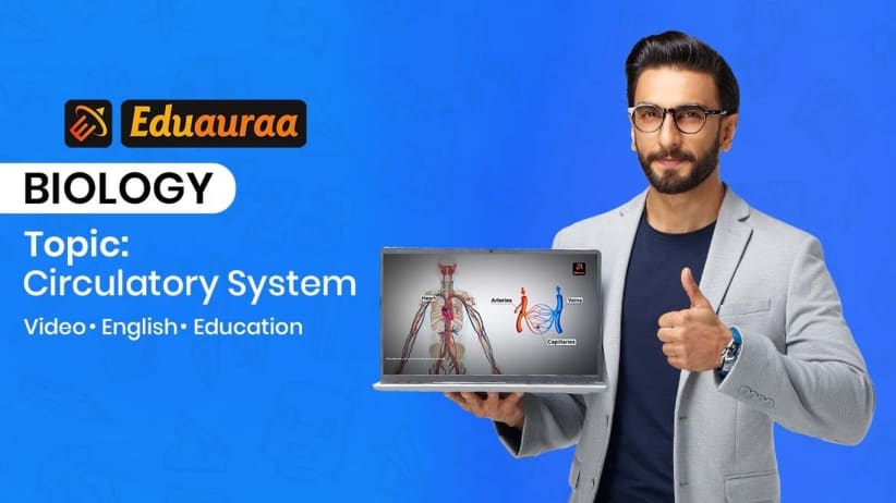 Circulatory System