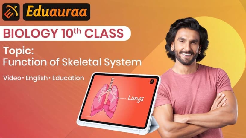 The Functions of the Skeletal System