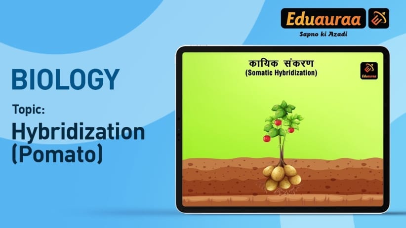 Hybridization and Micropropagation