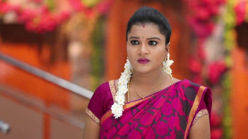 Sembaruthi - Episode 450 - April 12, 2019 - Full Episode