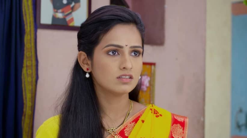 Ajinkya returns home without Simba - Lagira Zhala Jee