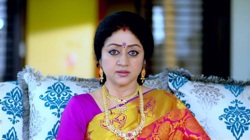 Paarvathi Rebukes Aditya - Paaru
