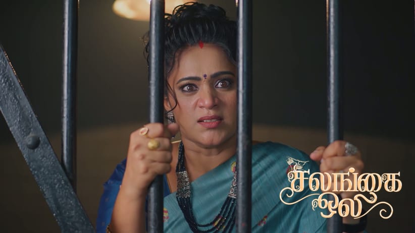 Nakshatra Gives Meera an Idea