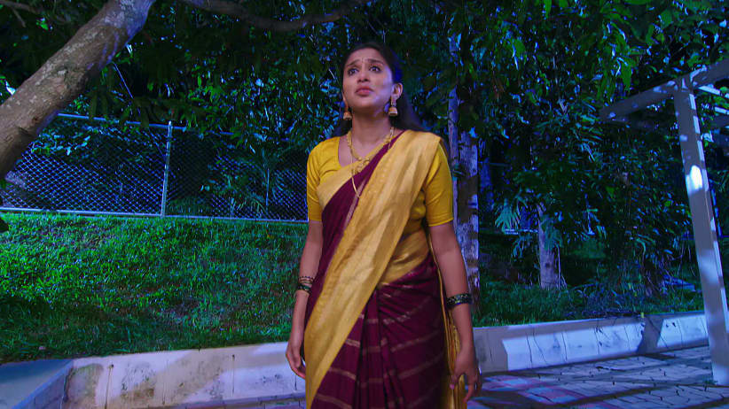 Annayya - September 01, 2026 - Episode Spoiler