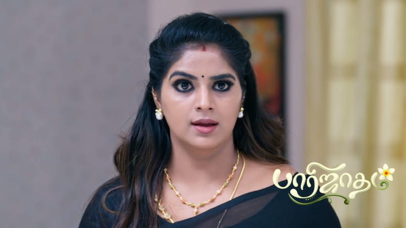 Chintamani Follows Rukmini