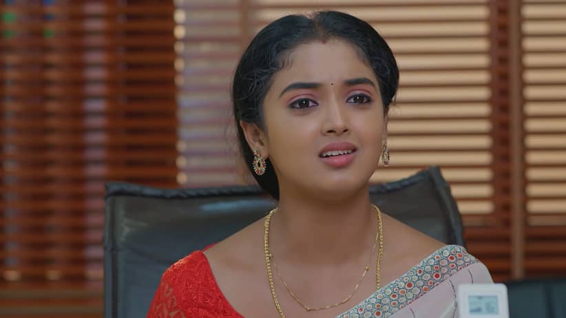 Meghasandesha - September 11, 2026 - Episode Spoiler