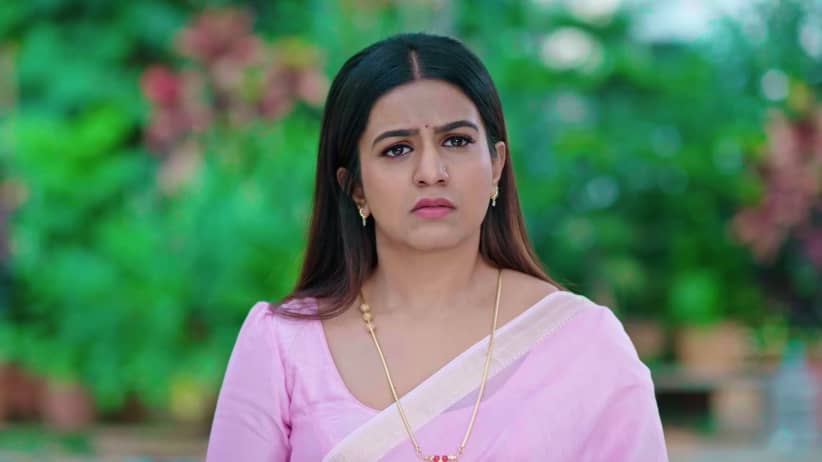 Tejas Contacts Nithya