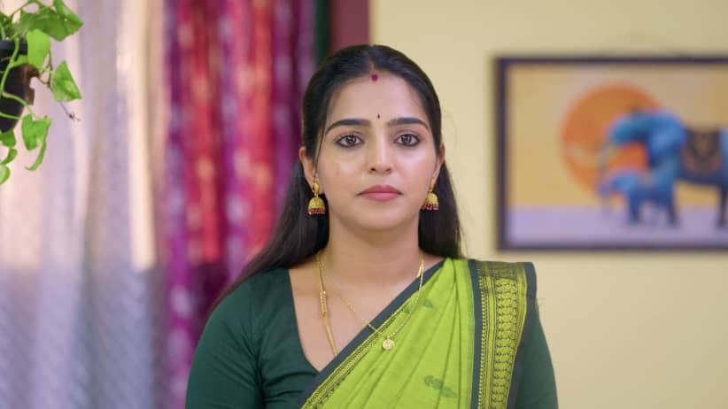 An Event Stuns Appatha