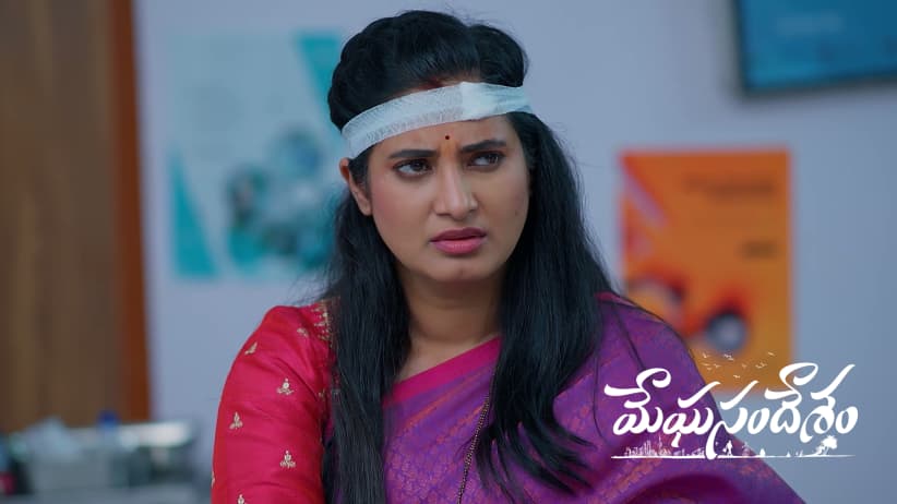 Meera Suffers from Memory Loss