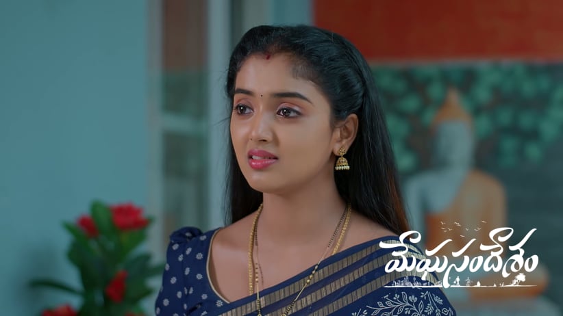 Meera's Behaviour Shocks Sharath