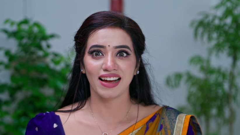 Karthigai Deepam - September 29, 2026 - Episode Spoiler