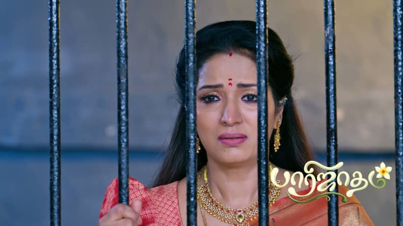 The Goon Testifies Against Subhadra