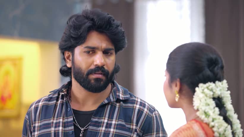 Chinnan Siru Kiliye - October 06, 2026 - Webisode