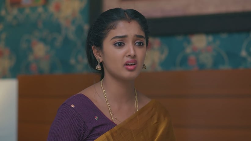 Meghasandesha - October 11, 2026 - Episode Spoiler