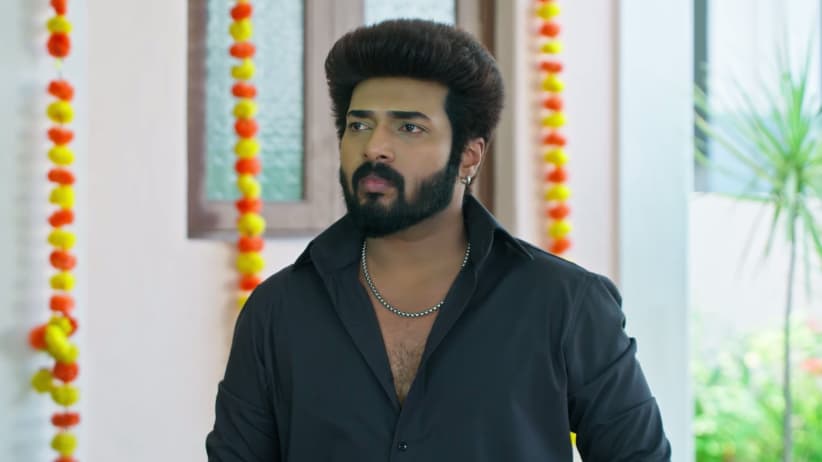 Karthigai Deepam - October 13, 2026 - Episode Spoiler