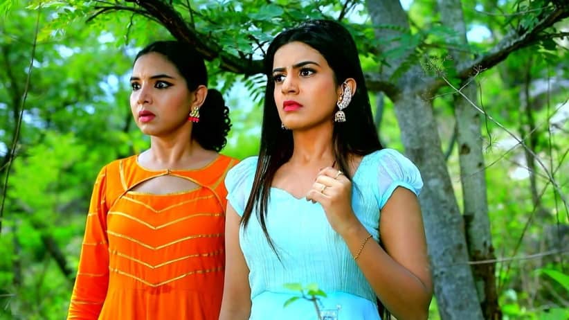Shivani's Dilemma