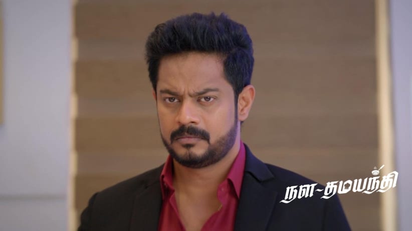Nala Damayanthi - February 24, 2024