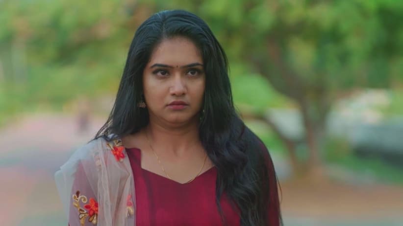 Nandhini Rescues Meenakshi