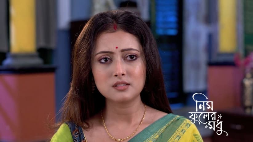 Mention of 'Saree Katha' and the Thief at the Dutta House