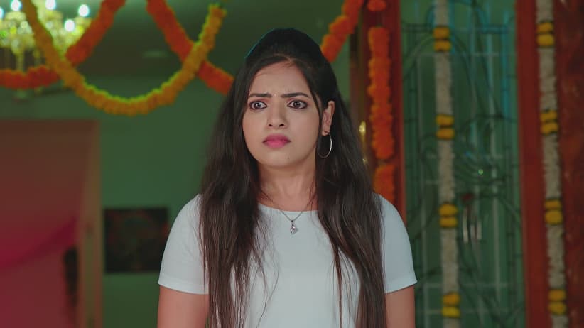 The Truth about Narayan's and Kavya's Death