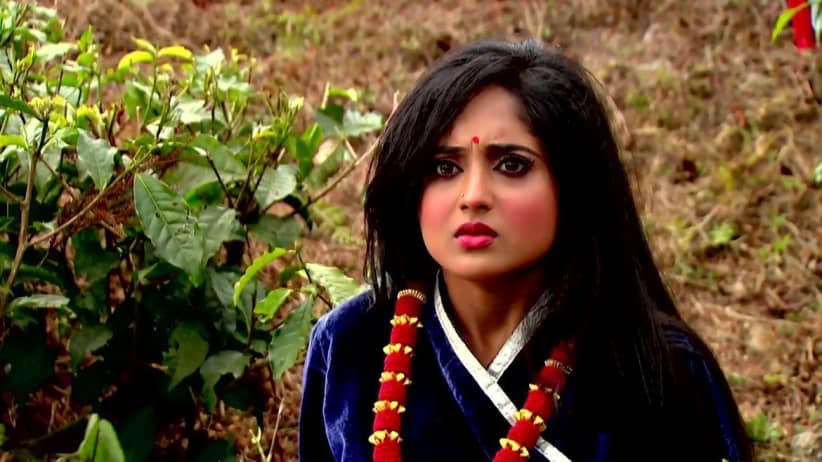 Siddhartha Professes His Love for Mithai