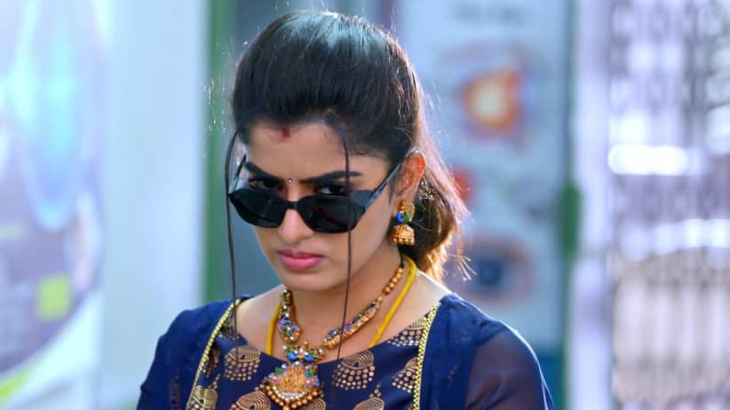 The Doctor Scolds Hasini
