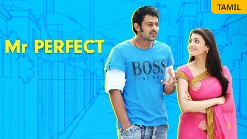 Mr. Perfect