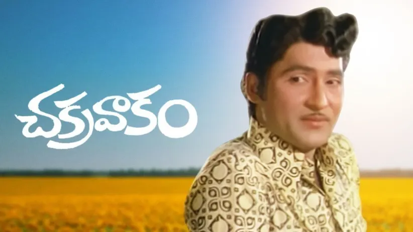 Chakravakam
