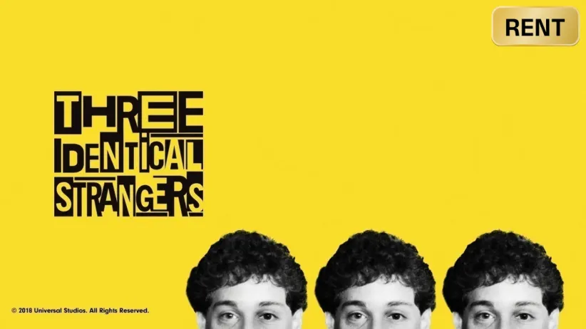 Three Identical Strangers