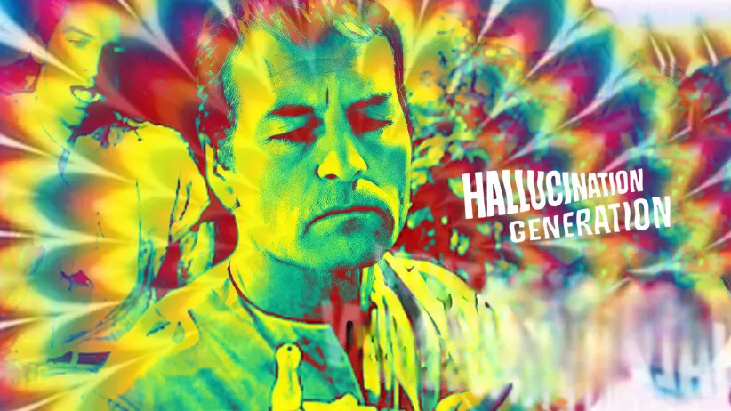 Hallucination Generation