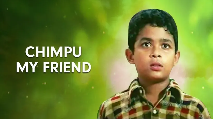 Chimpu My Friend