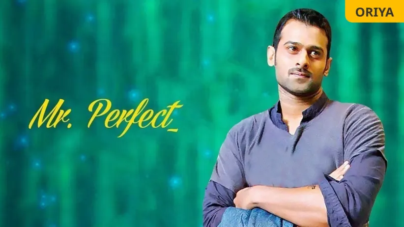 Mr. Perfect