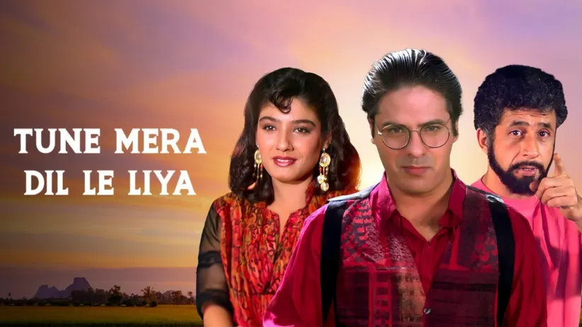 Tune Mera Dil Le Liya - Pinjara