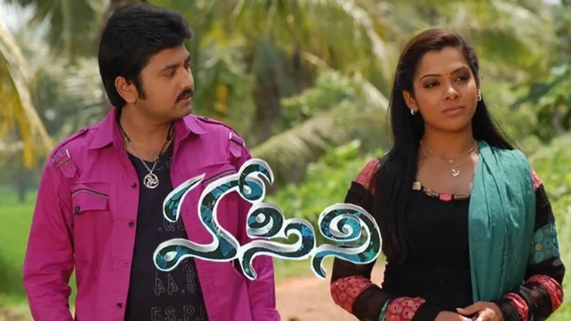 హాసిని