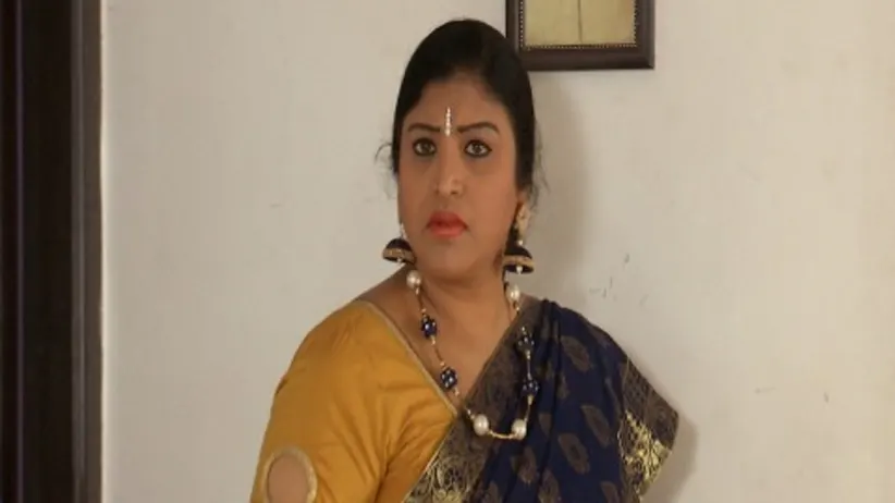 Kalyana Vaibhogam - Episode 146 - November 20, 2017 - Full Episode